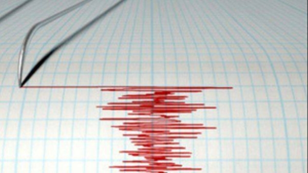 Un cutremur cu magnitudinea 3,9 s-a produs în judeţul Buzău