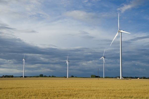 Producţia de energie eoliană se află la capacitate maximă, în pofida vremii nefavorabile