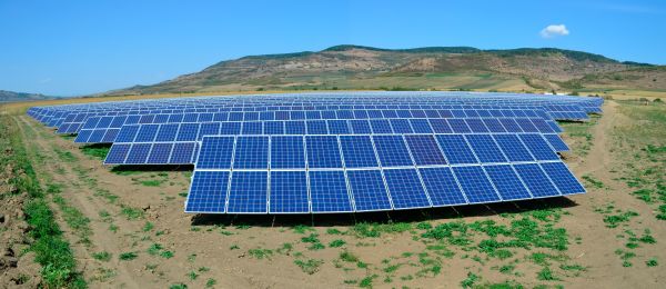 Softbank şi Arabia Saudită vor înfiinţa cel mai mare producător mondial de energie fotovoltaică