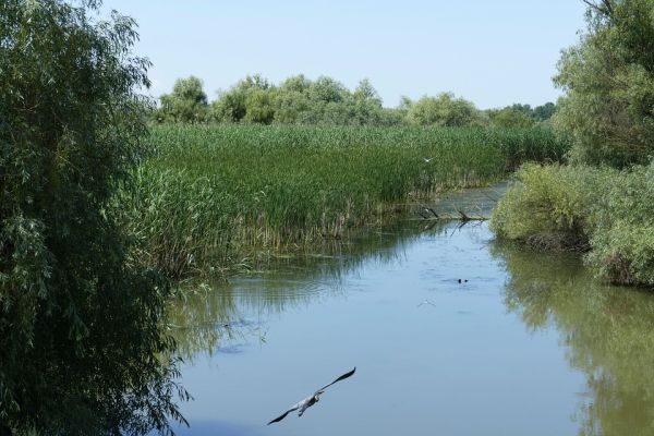 Noi facilităţi de investiţie în Delta Dunării