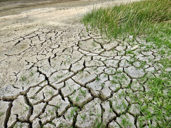 Încălzirea globală a înmulţit de patru ori dezastrele climatice