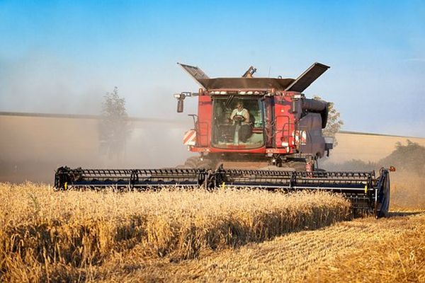 România, cel mai bun rezultat agricol din istorie