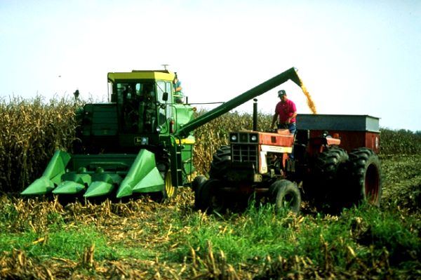 Ştachetă ridicată foarte sus în agricultură