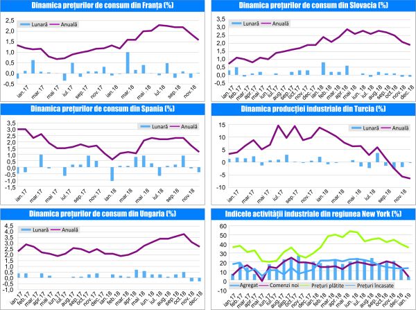 MACRO NEWSLETTER-17 Ianuarie 2019 