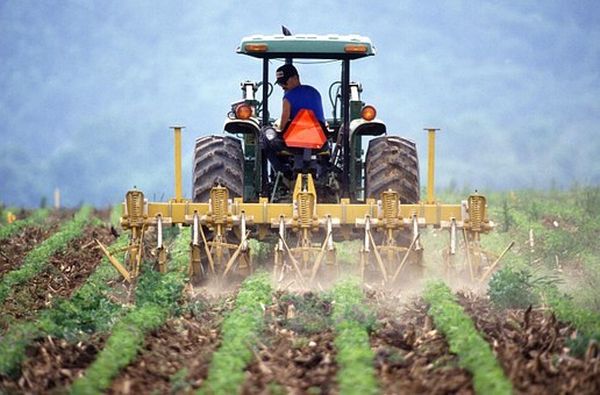 Fermierii pot depune cererile unice de plată începând de la 1 martie