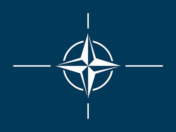 Georgia şi NATO au lansat un exerciţiu militar comun