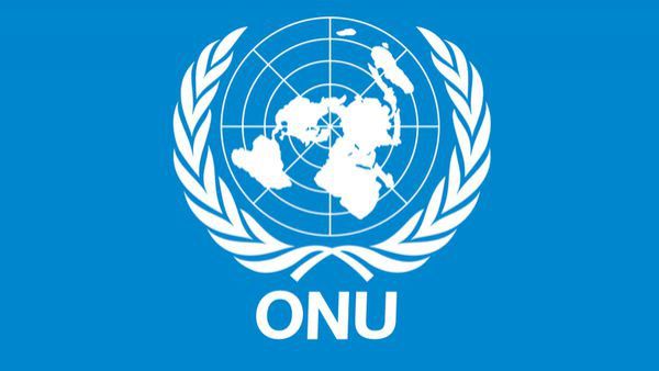 ONU protestează faţă de codul penal care reinstaurează lapidarea