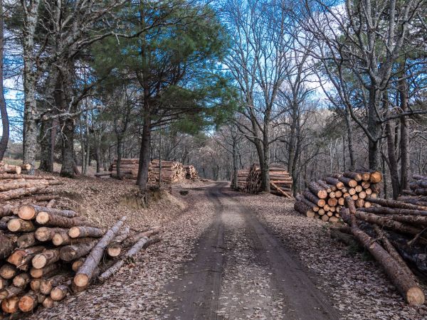 Europenii trăiesc pe datorie de săptămâna trecută