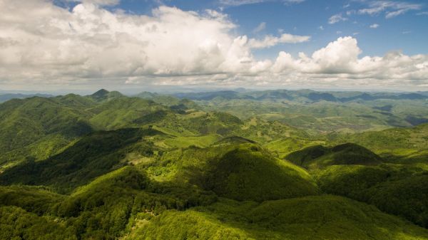 Ministerul Apelor şi Pădurilor anunţă investiţii de 52,84 milioane lei în judeţul Bihor