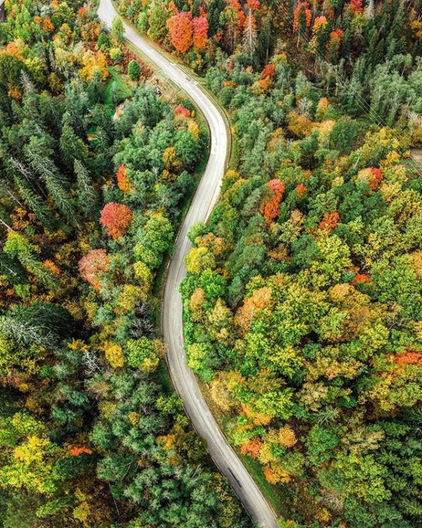 Circulaţia pe Transalpina se închide mâine