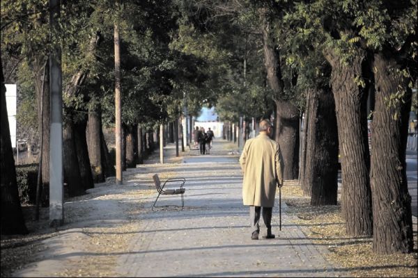 Activele fondurilor de pensii private obligatorii, în creştere