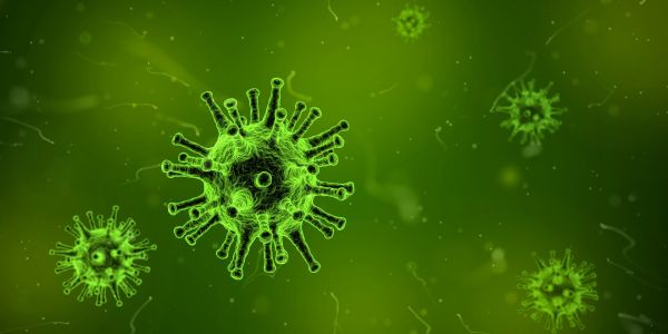 Epidemia de coronavirus este un risc la adresa revenirii fragile a economiei mondiale