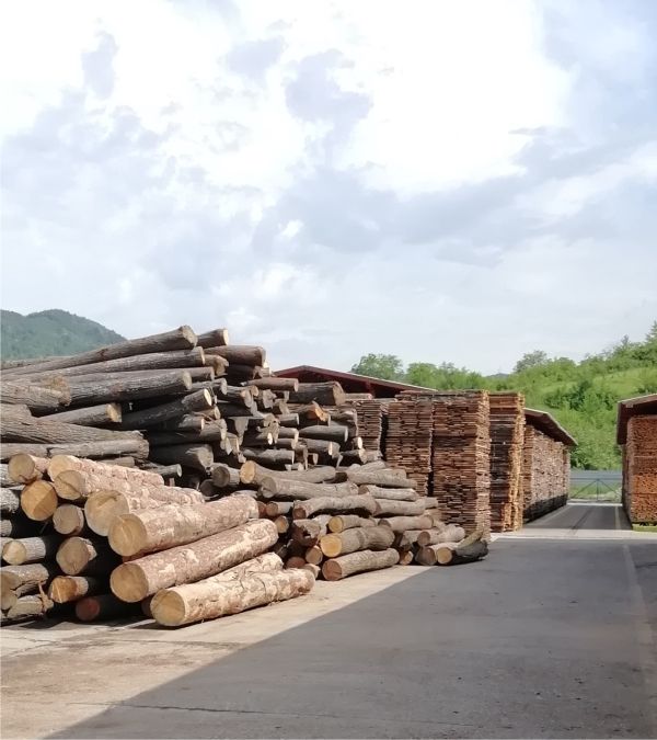 The authorities of passing "pseudo - measures" to fight illegal logging