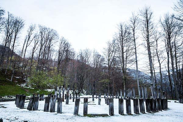 Podoabe de aur dacice, recuperate de statul român din Germania