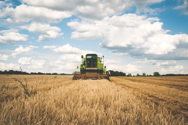 Agricultura de precizie, viitorul fermelor autohtone