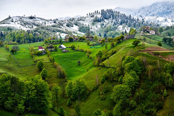 "Împădurim România, este unul dintre angajamentele majore ale USR PLUS"