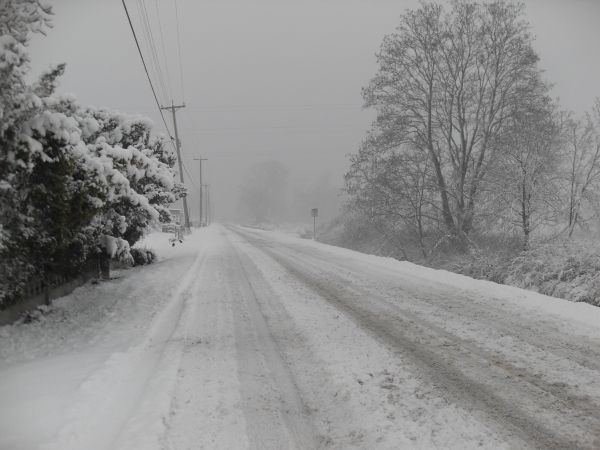 Circulaţie rutieră îngreunată în judeţul Constanţa din cauza zăpezii şi a viscolului