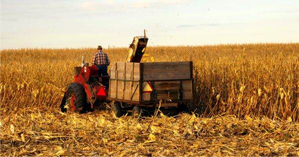 Asociaţia Forţa Fermierilor solicită suplimentarea cu un miliard de lei a bugetului Agriculturii