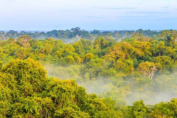 Brazilia a lansat în spaţiu un satelit care va monitoriza defrişările din Pădurea Amazoniană