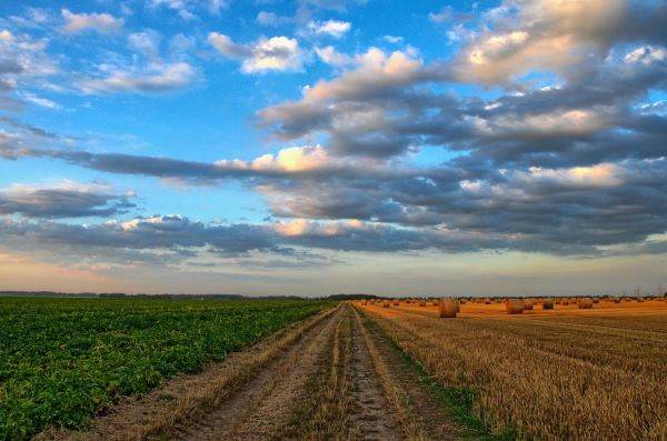 Ministrul Agriculturii, "scos la tablă" de PSD