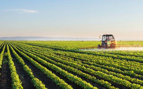 Buzăul îşi măreşte suprafaţa agricolă lucrată, dar are mai puţini fermieri