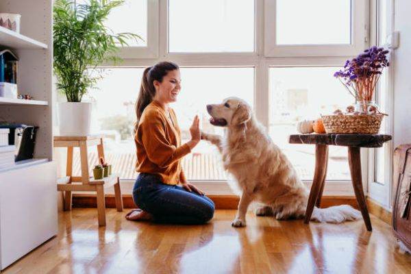 2 din 10 români declară că şi-au cumpărat un animal de companie în starea de urgenţă 