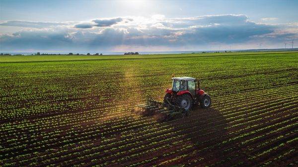 Raiffeisen Bank şi Rodbun sprijină soluţiile inovatoare pentru agricultură