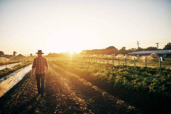 Clubul Fermierilor Români lansează înscrierile la a patra ediţie a programului ''Tineri Lideri pentru Agricultură"