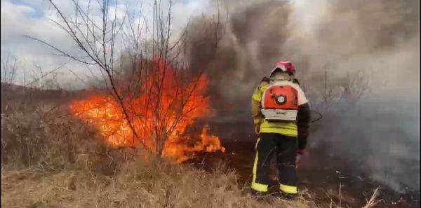 Mii de hectare de teren agricol, incendiate