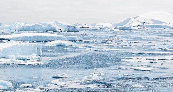 Poluarea cu plastic a ajuns până în Antarctica