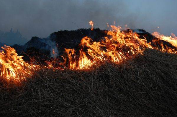 Aproximativ 1.000 de persoane au fost evacuate din cauza incendiilor de vegetaţie din Spania