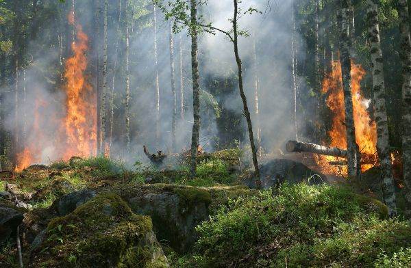 Portugalia este afectată în continuare de incendii de vegetaţie şi a decretat stare de alertă