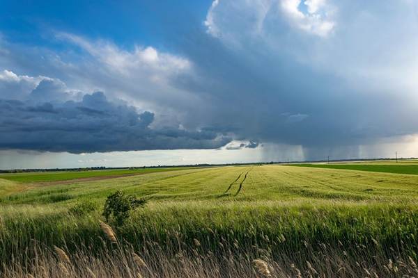 Alerte de ploi abundente în judeţele Tulcea, Constanţa, Galaţi, Brăila, Ialomiţa şi Călăraşi