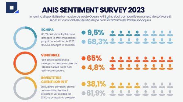 Peste 60% dintre companii se aşteaptă la creşterea cifrei de afaceri în 2023