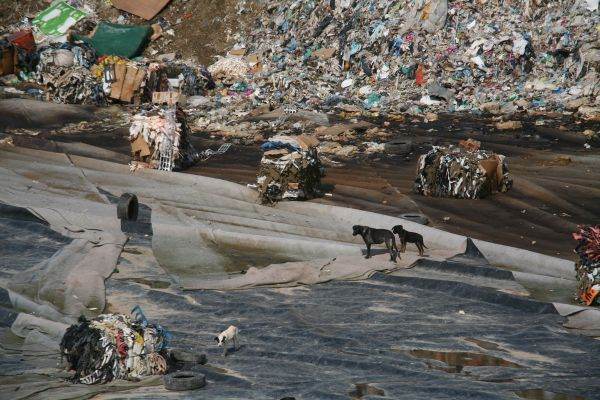 Corigenţi la protecţia mediului: doar 12% din deşeurile municipale sunt reciclate