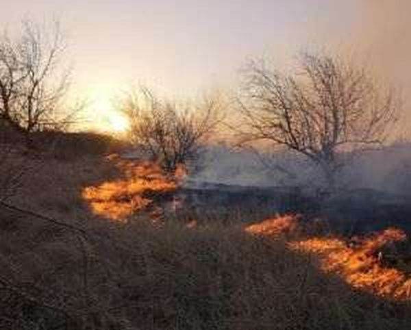 14 persoane şi-au pierdut viaţa în incendii de pădure care au distrus 60.000 de hectare