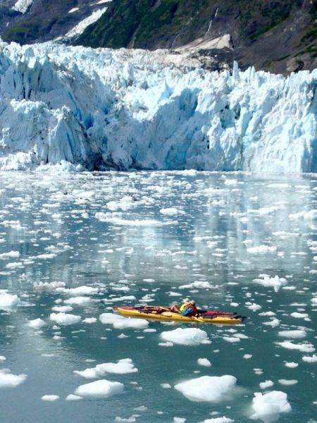 Schimbări climatice: geţarii, în pericol