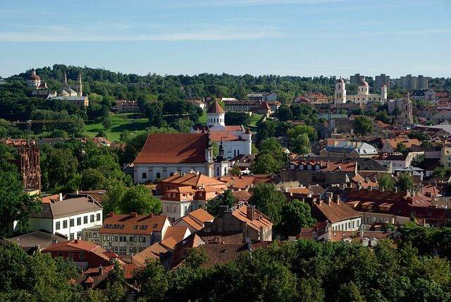 Val de atacuri cibernetice asupra Lituaniei, înainte de summitul NATO