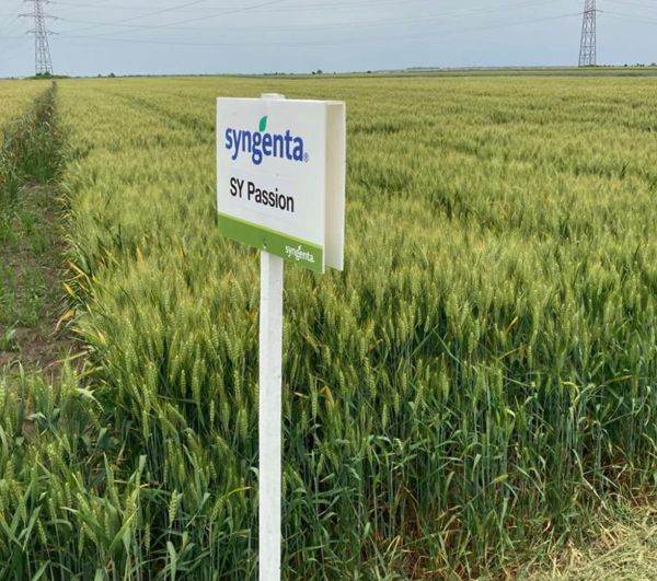 Sursa foto: facebook / Syngenta Romania