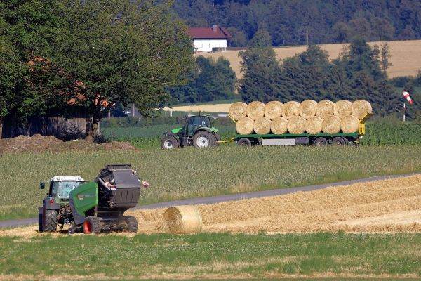 Tranzitul cerealelor ucrainene, susţinut de autorităţile de la Bucureşti