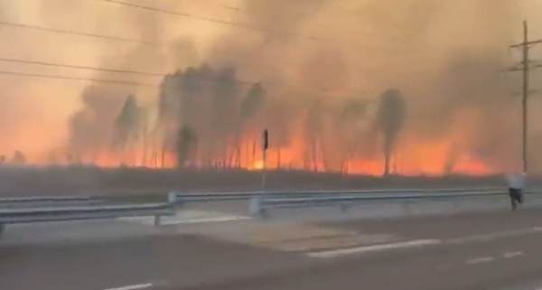 În Spania mai mult de 200 de pompieri se luptă cu incendiul de la graniţa cu Franţa