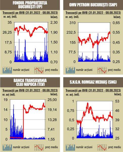Tranzacţii de 53 milioane lei, sub media zilnică a anului 
