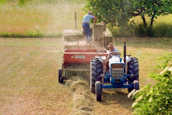 MADR creşte valoarea creditării fermierilor