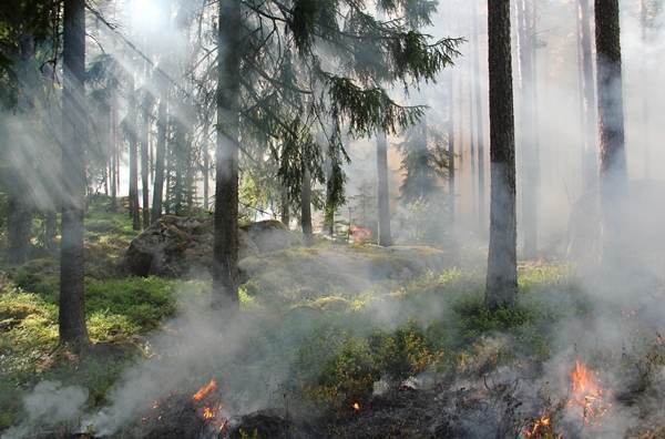 Pompierii români dislocaţi în Grecia continuă să intervină pentru lichidarea incendiilor de pădure