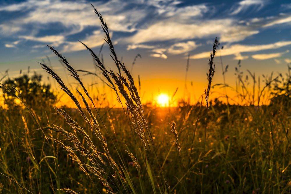 Polonia va menţine interdicţia asupra importurilor agricole ucrainene