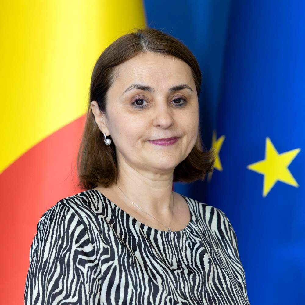 Luminiţa Odobescu a discutat cu Antony Blinken