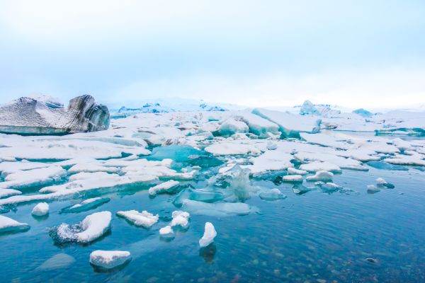 Arctica - cea mai călduroasă vară măsurată vreodată