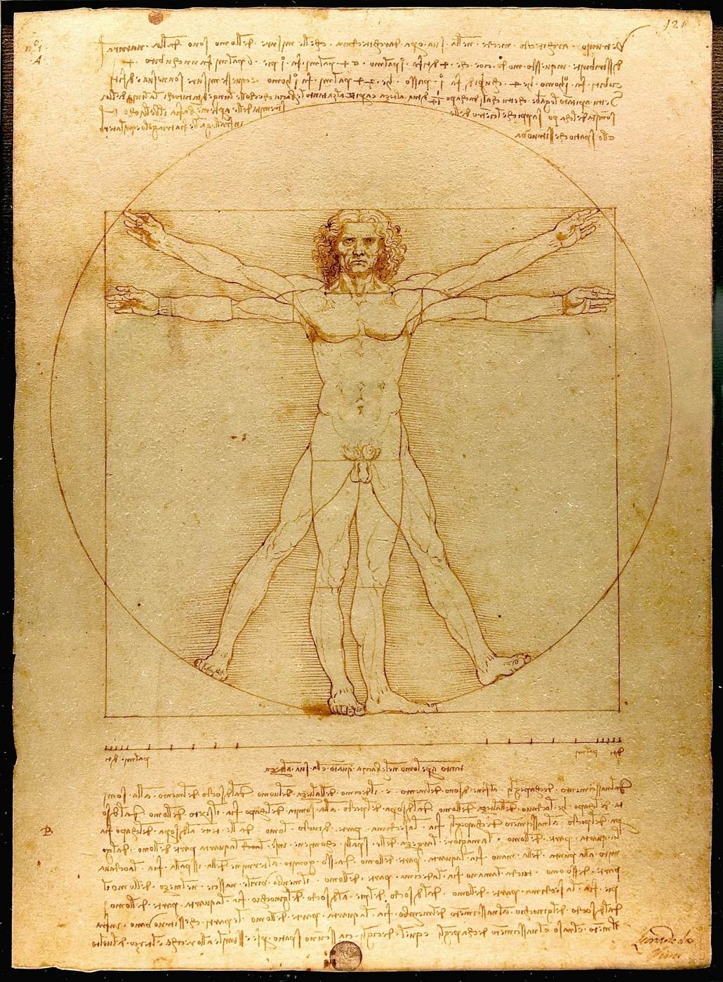 Leonardo da Vinci (1452-1519) - "Omul Vitruvian" (circa 1492)