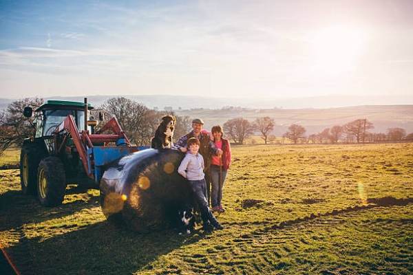 FNSEA: ''Sprijin deplin'' al principalului sindicat agricol din Franţa pentru fermierii germani care protestează