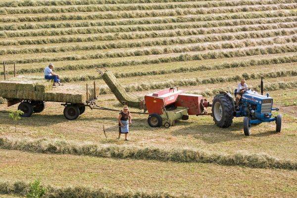 The EPP asks the European Commission to support farmers in the EU member states